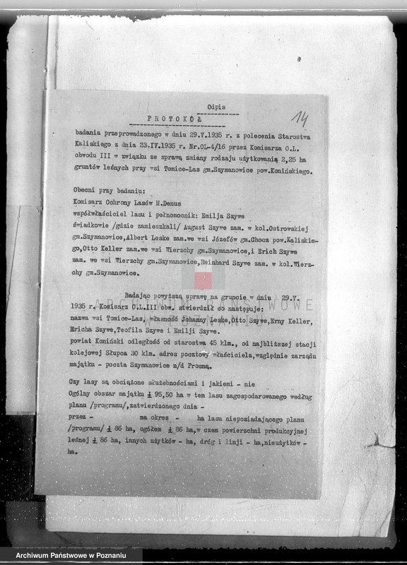 Obraz 18 z jednostki "Gmina Szyminowice powiat koniński /nadzór nad gospodarką leśną/"
