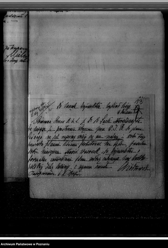 Obraz 17 z jednostki "Gospodarka w lasach majątku Jarogniewice powiat kościański"