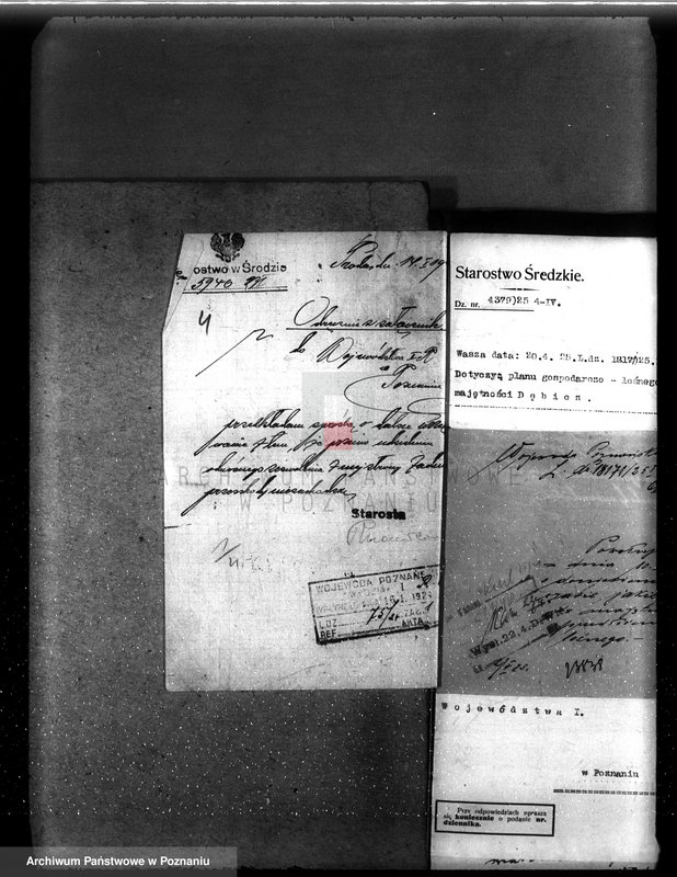 Obraz 8 z jednostki "Nadzór nad gospodarką w lasach majętności Dębicz powiat średzki"