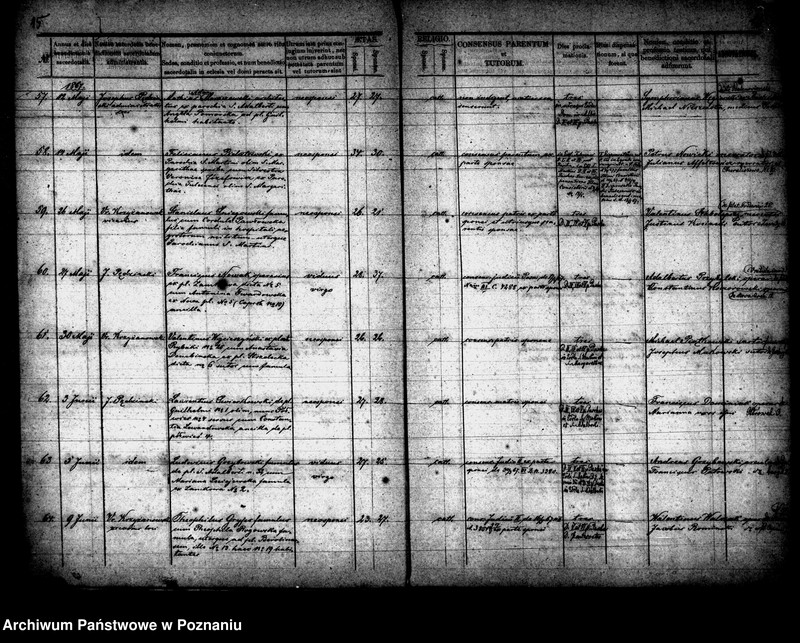 Obraz 9 z jednostki "Księga małżeństw"