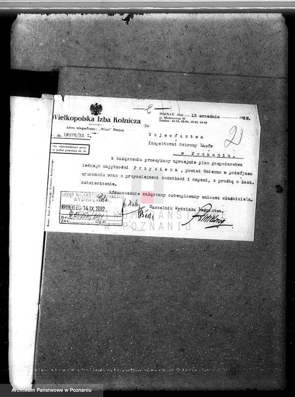 Obraz 6 z jednostki "Nadzór nad gospodarką w lasach majętności Przysieka powiecie gnieźnieńskim"