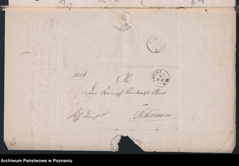 Obraz 16 z jednostki "A. betr. Miecislaus Casimir von Busse"