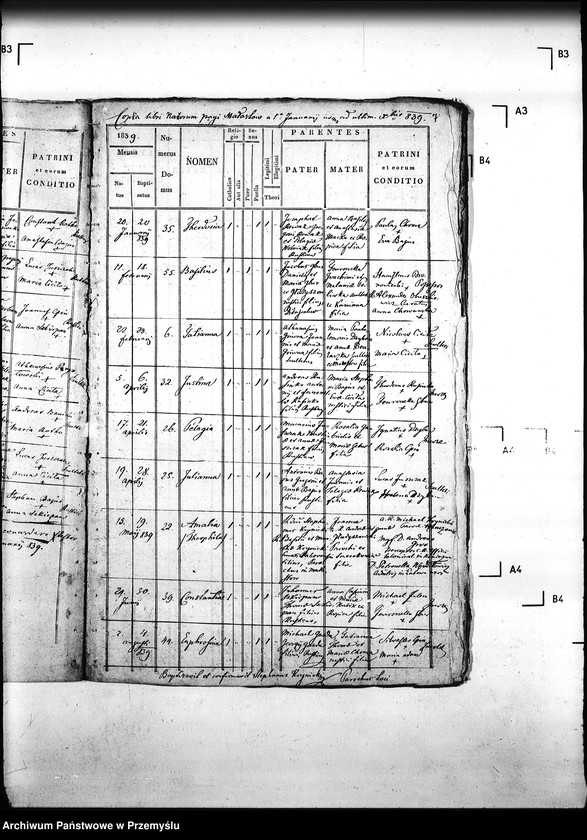 Obraz 11 z jednostki "[Kopie ksiąg metrykalnych parafii Małastów z filiami Ropica Ruska, Pętna (dekanat Gorlice)]"