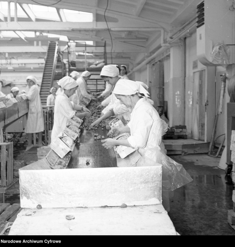 image.from.unit.number "Zakład produkcyjny Przedsiębiorstwa Handlu Zagranicznego "Hortex" w Górze Kalwarii"