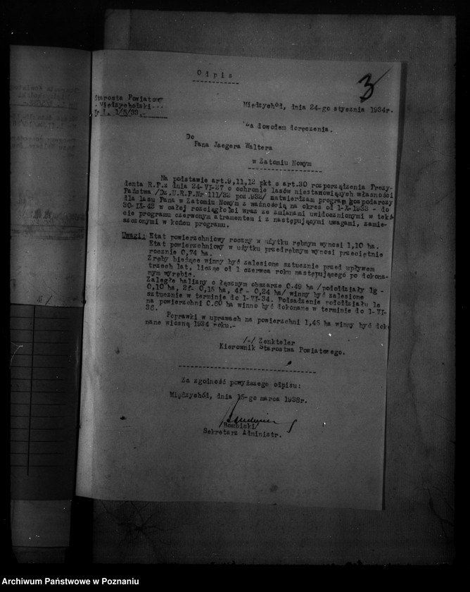 Obraz 7 z jednostki "Las majętności Zatom Nowy własność Waltera Jaegera powiat międzychodzki"