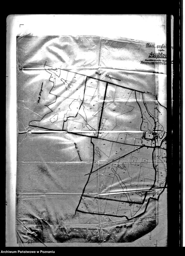 Obraz 10 z jednostki "/Różne plany i mapy majątku Szydłowo powiatu mogileńskiego/"