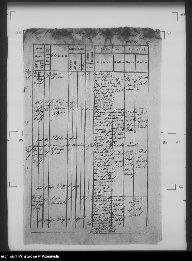 Obraz 20 z jednostki "[Kopie ksiąg metrykalnych parafii Żużel z filią Cebłów (dekanat Bełz)]"