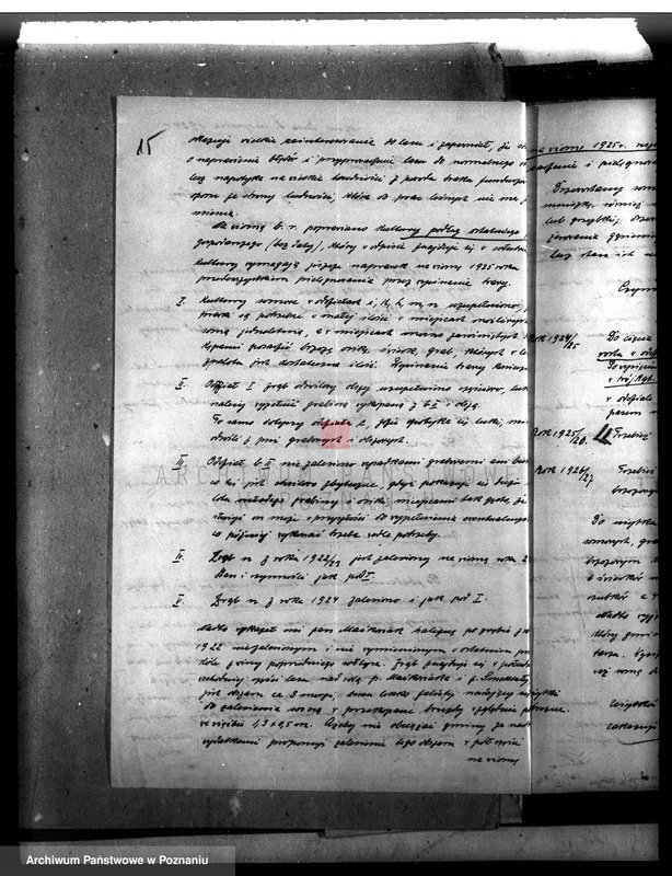 Obraz 19 z jednostki "Las gromady Belęcin-Nowy powiat leszczyński"