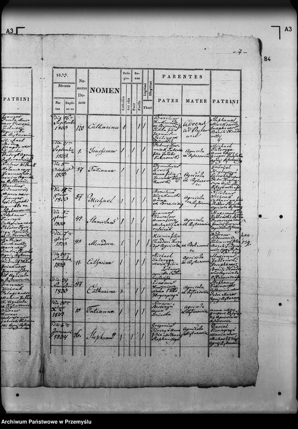 Obraz 11 z jednostki "[Kopie ksiąg metrykalnych parafii Rajtarowice z filiami Rogóźno, Sadkowice (dekanat Mościska)]"