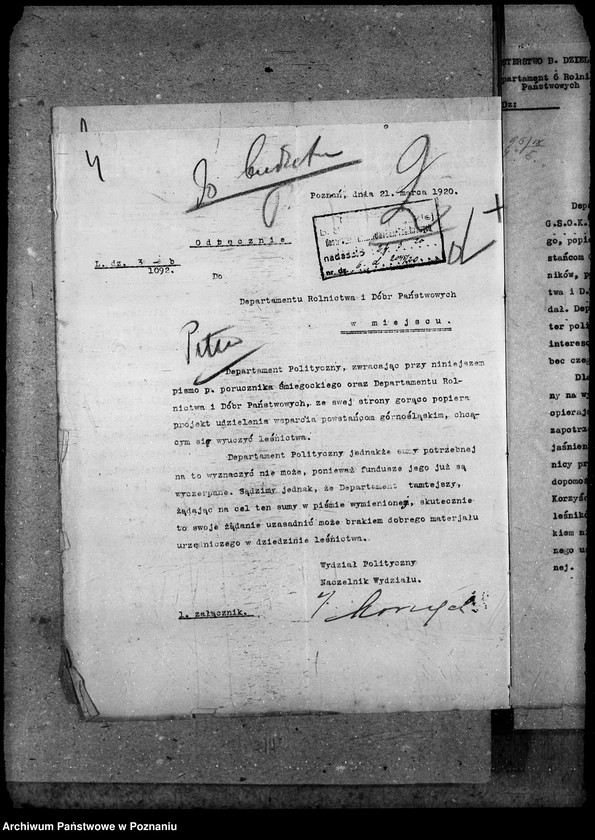 Obraz 8 z jednostki "Budżet - leśnictwa rok 1921"