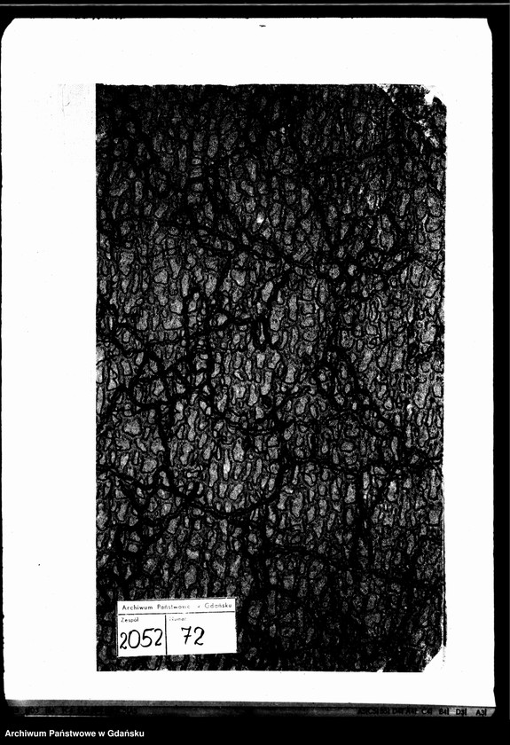 image.from.unit.number "Księga urodzeń"