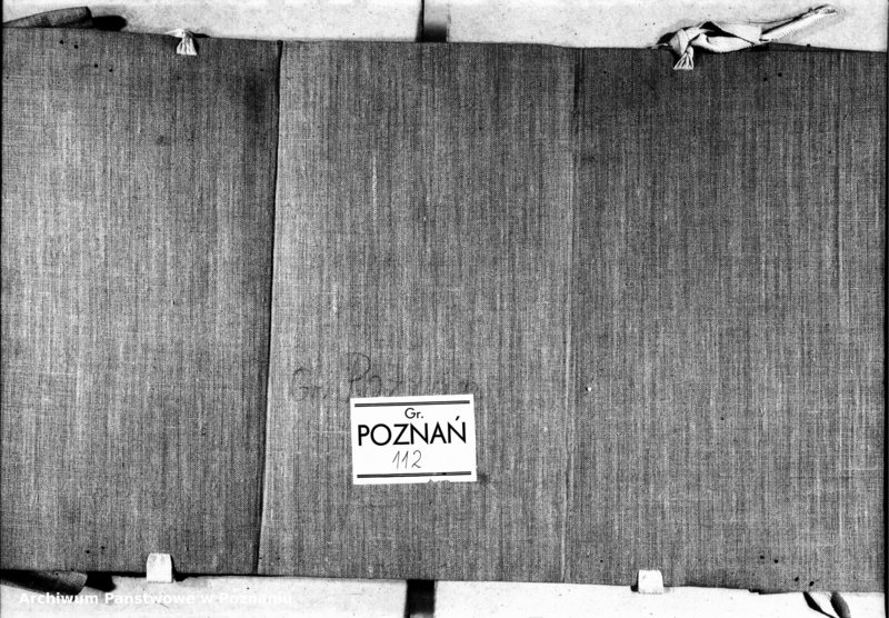 Obraz 3 z jednostki "Inscriptiones, relationes, decreta officii [inducta]"