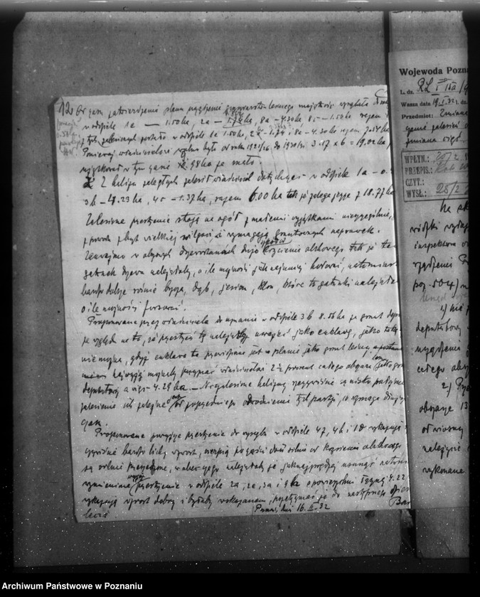 Obraz 17 z jednostki "Majętność leśna Kotowo-Wożniki powiat nowotomyski"