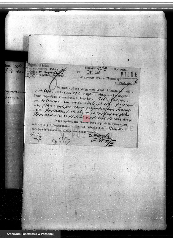 Obraz 10 z jednostki "Sprawa wyłączenia obszarów leśnych z majątku Bogusławice powiatu kolskiego"