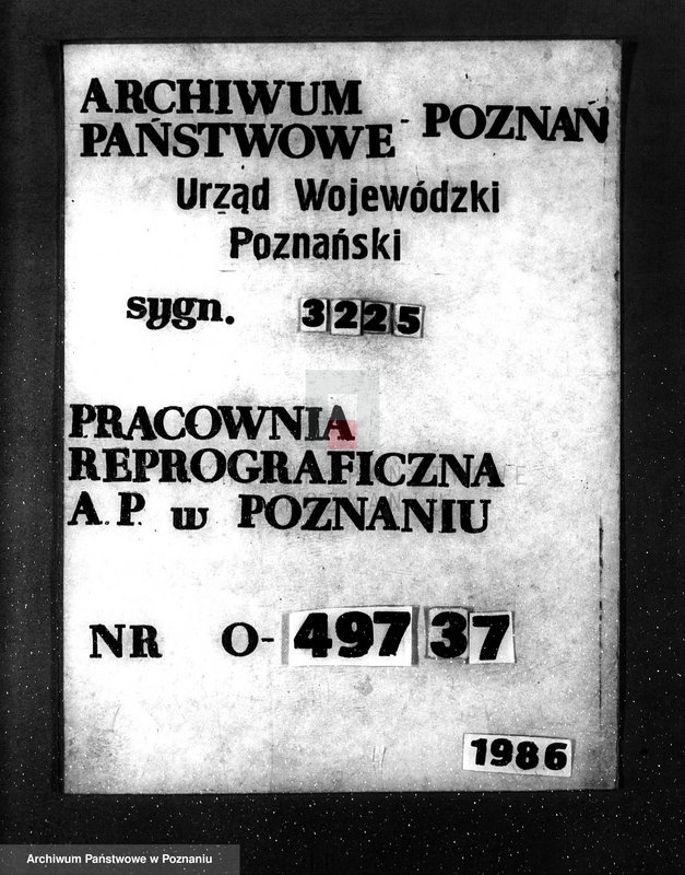 Obraz 1 z jednostki "Majętność leśna w Mielnie w powiecie gnieźnieńskim"