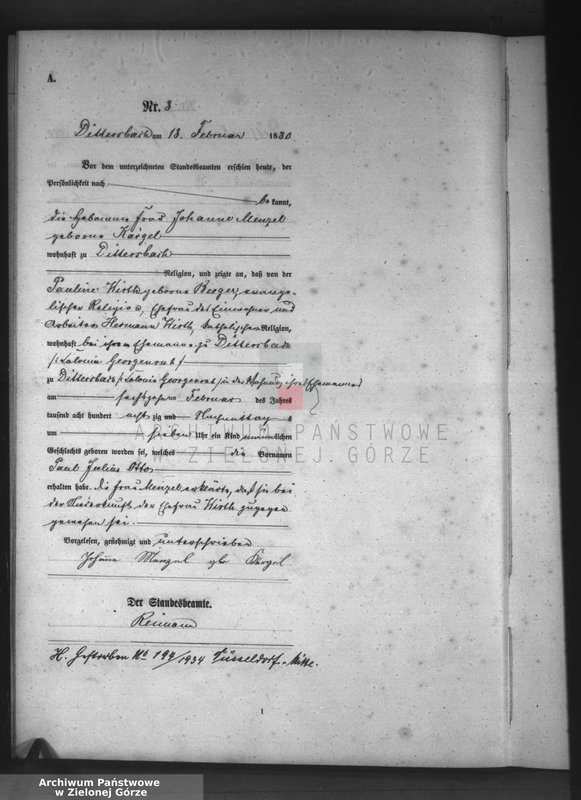 Obraz 11 z jednostki "[Księga aktów urodzeń]"