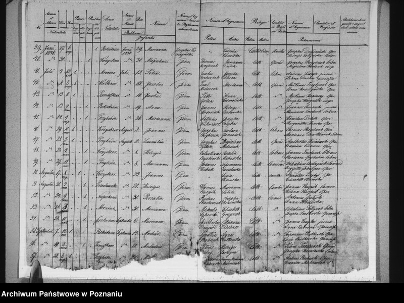 image.from.unit.number "Liber baptisatorum"