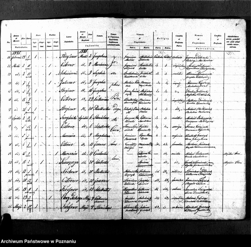Obraz 5 z jednostki "Libri metrices baptisatorum, desponsatorum, mortuorum"