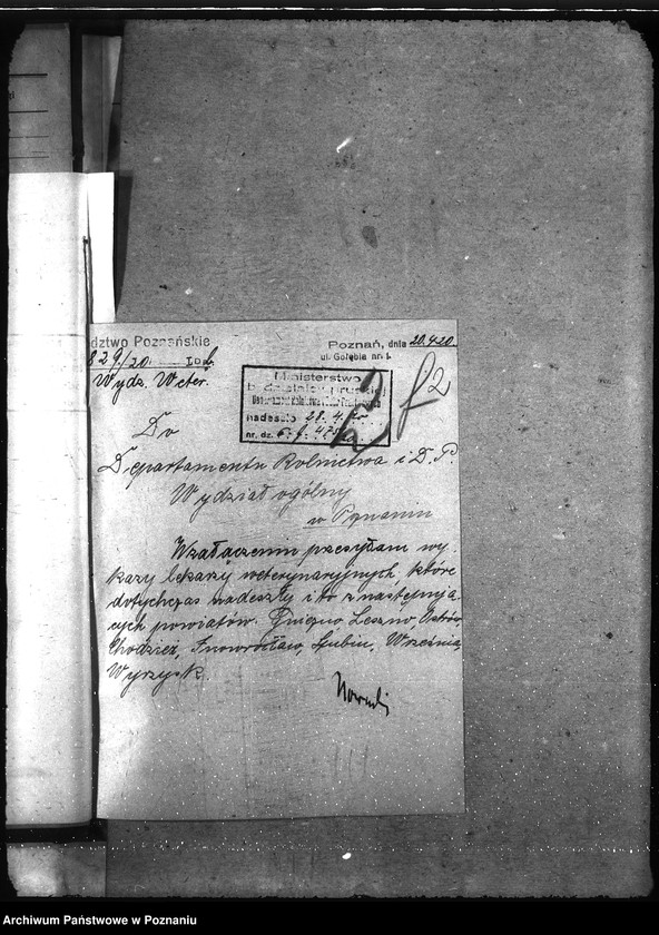 Obraz 6 z jednostki "Lekarze weterynaryjni spis"