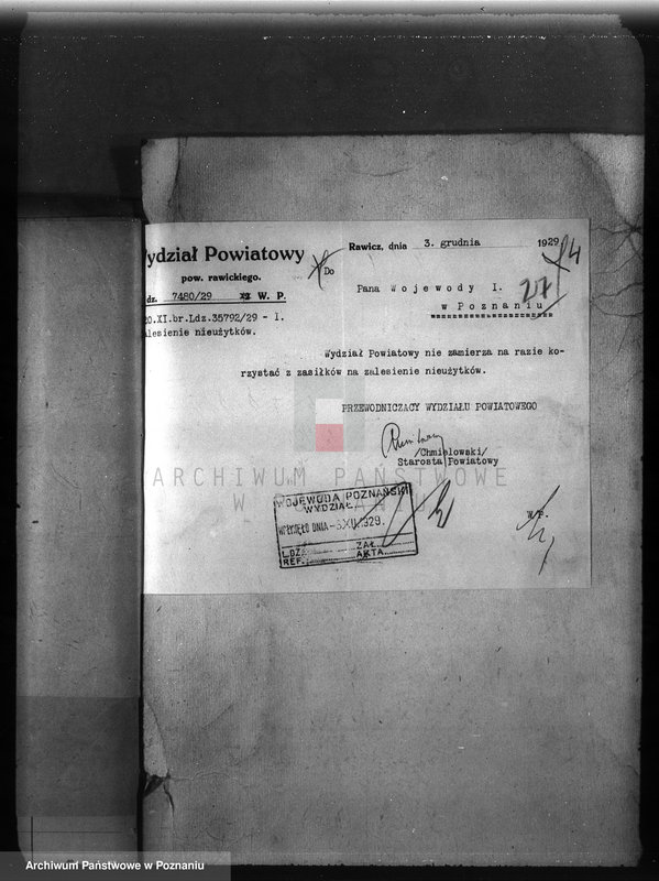 Obraz 8 z jednostki "Zalesienie nieużytków w powiecie mogileńskim"