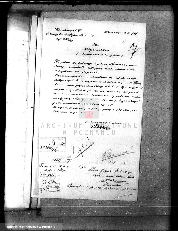 Obraz 11 z jednostki "Majętność leśna Sarbinowo w powiecie gostyńskim"