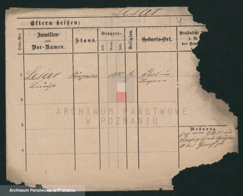 Obraz 4 z jednostki "Lesa - Lesisz"