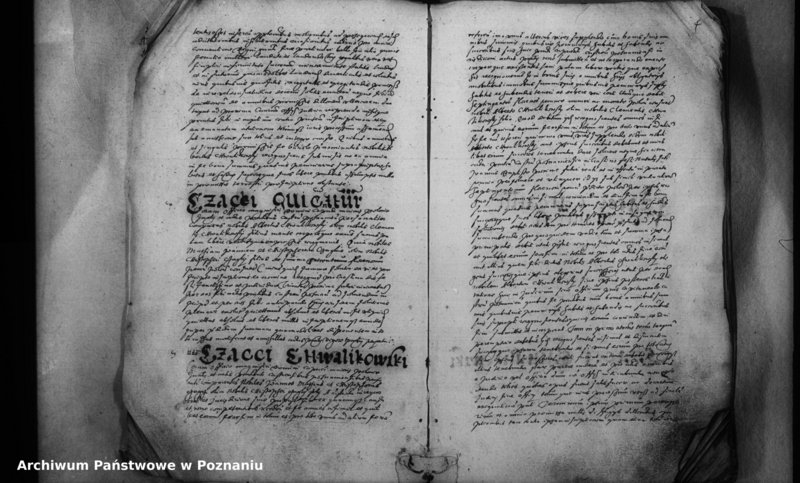 Obraz 9 z jednostki "Inscriptiones [inducta]"