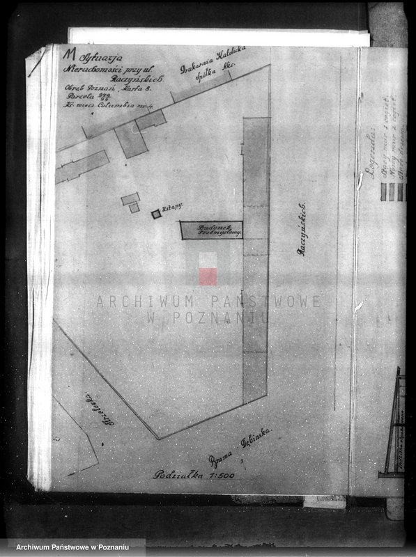 Obraz 15 z jednostki "Zatwierdzenie zakładu przemysłowego /wytwórni galanterii celuloidowej/ Mańkowskiej Reginy w Poznaniu"