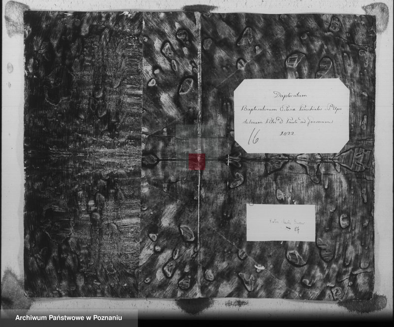 image.from.unit.number "Liber baptisatorum"