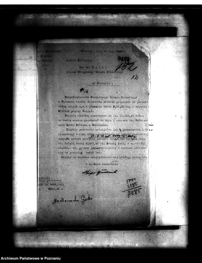 Obraz 17 z jednostki "Parcelacja lasu Witobel 113 powiatu poznańskiego Teofil Bartkowiak"