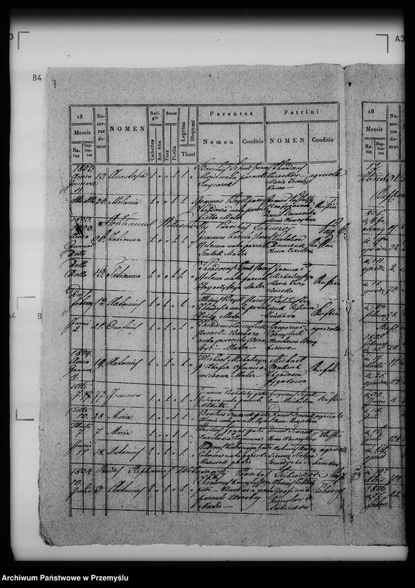 Obraz 11 z jednostki "[Kopie ksiąg metrykalnych parafii Siebieczów z filiami Leszczaków, Piwowszczyzna, Rusin, Wierzbiąż (dekanat Bełz)]"