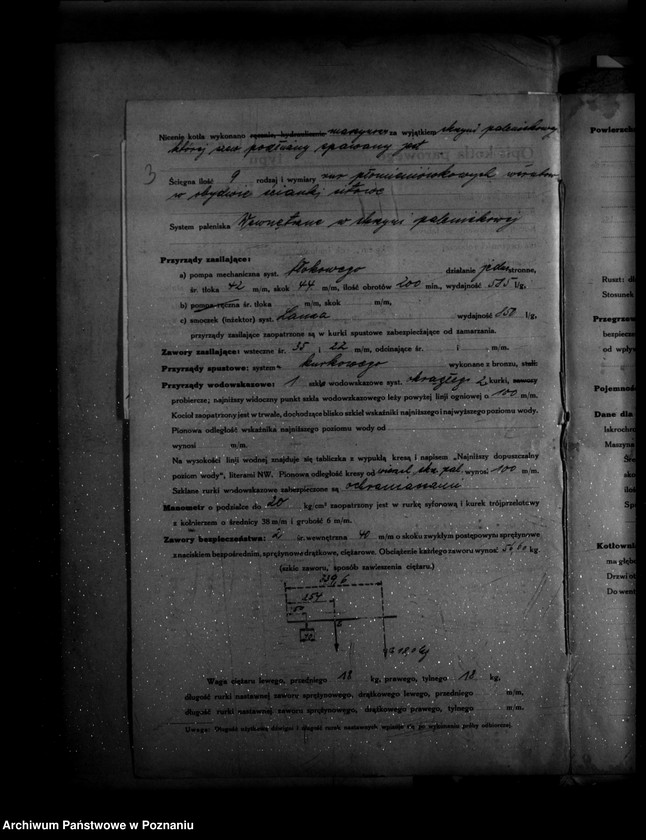 Obraz 7 z jednostki "Młyn parowy i majątek ziemski w Plewiskach powiat poznański nr woj. 5873"