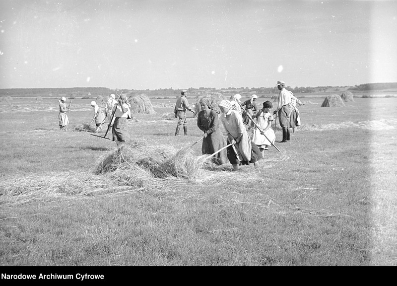 image.from.unit.number "Rolnictwo. Łąki, sianokosy"