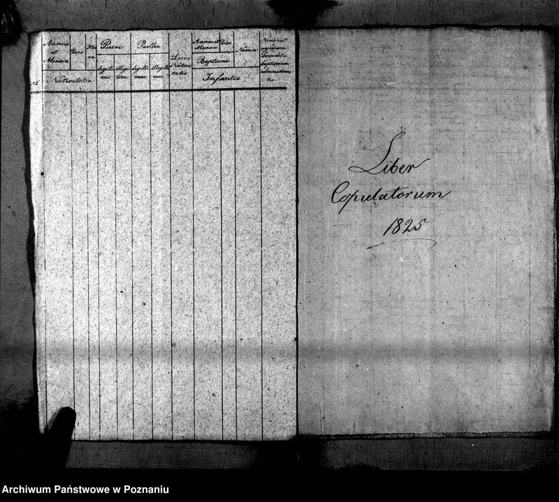 Obraz 13 z jednostki "Liber baptisatorum, copulatorum, mortuorum"