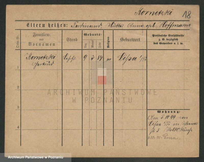 Obraz 18 z jednostki "Kornecki - Kortus"