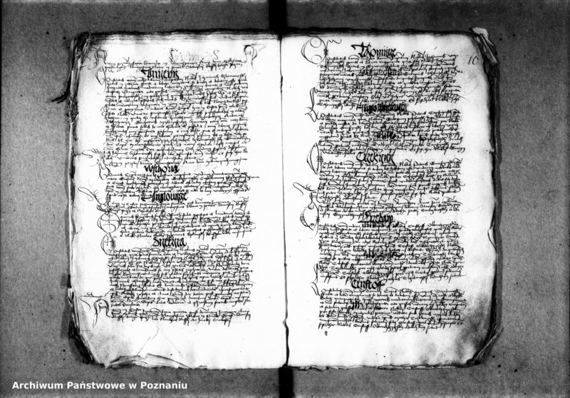 Obraz 15 z jednostki "Inscriptiones, relationes, decreta [inducta]"