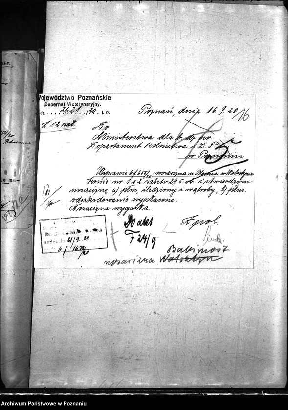 Obraz 20 z jednostki "Nosacizna - Wolsztyn"