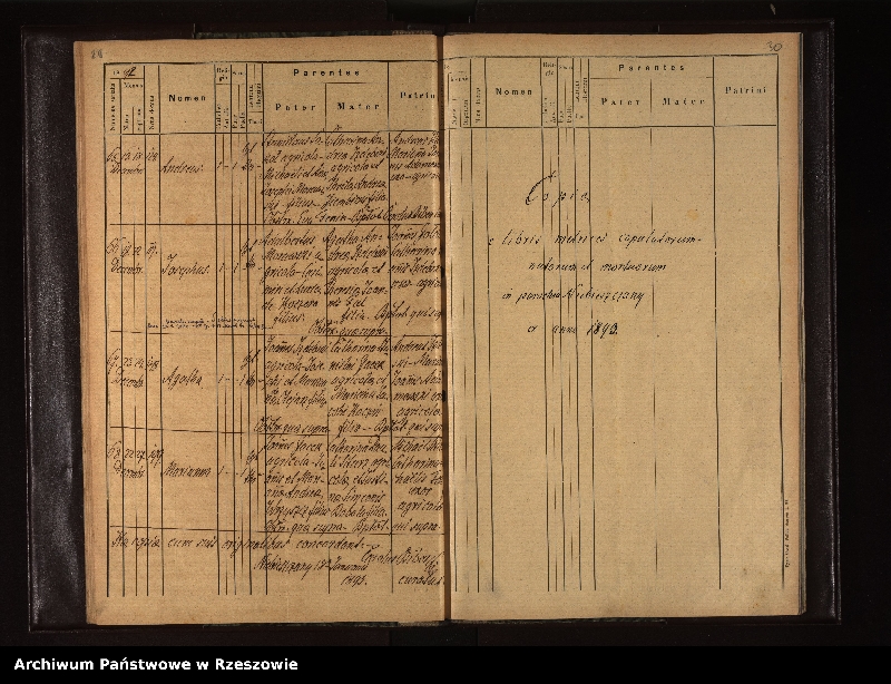 image.from.unit.number "Księga urodzeń dla miejscowości Niebieszczany"