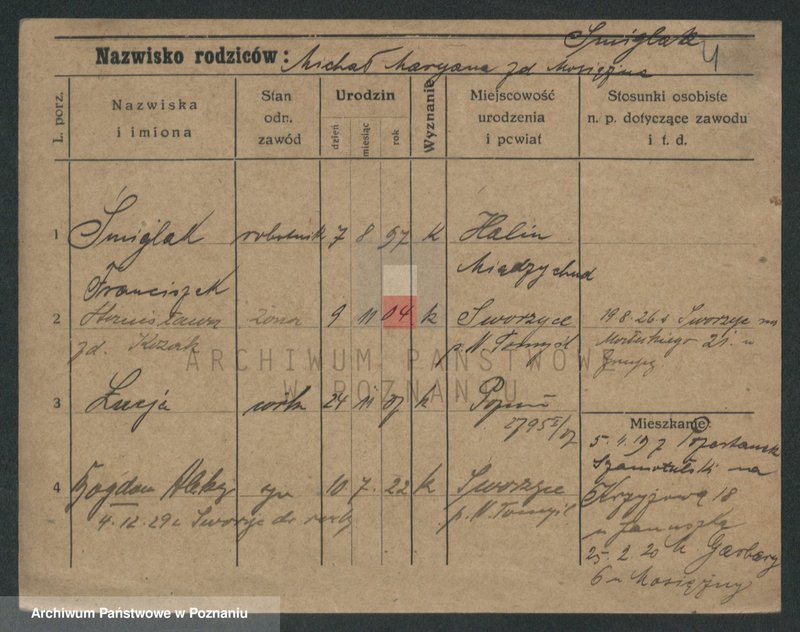 Obraz 11 z jednostki "Śmiglak - Smolik"