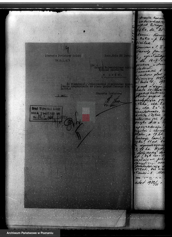 Obraz 8 z jednostki "Lasy miasta Dąbie powiatu kolskiego"