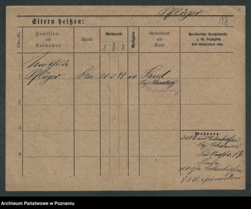 Obraz 20 z jednostki "Pflieger - Piasecki"