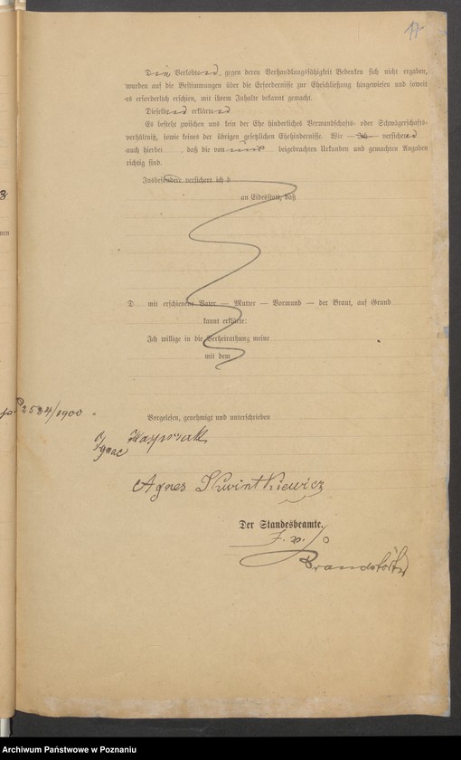 Obraz 19 z jednostki "Die von den Verlobten beigebrachten Urkunden zur Eheschliessung pro 1901. Vol II"