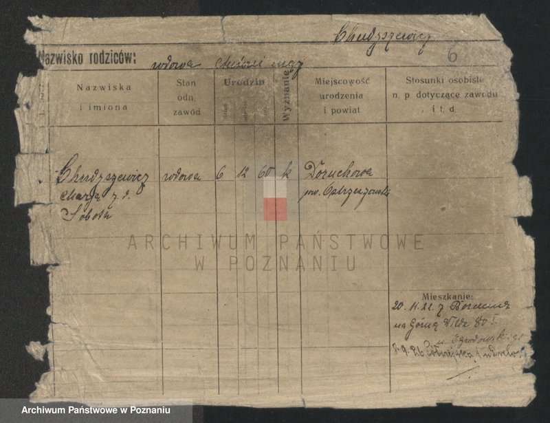 Obraz 8 z jednostki "Chudysiewicz - Chyczewski"