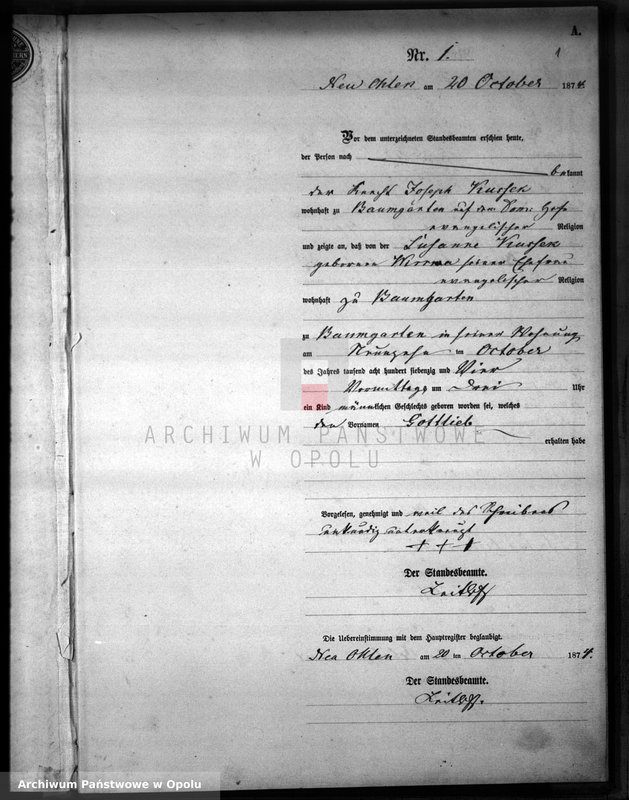Obraz z jednostki "Geburts-Neben-Register Amt Wilmsdorf 1874"