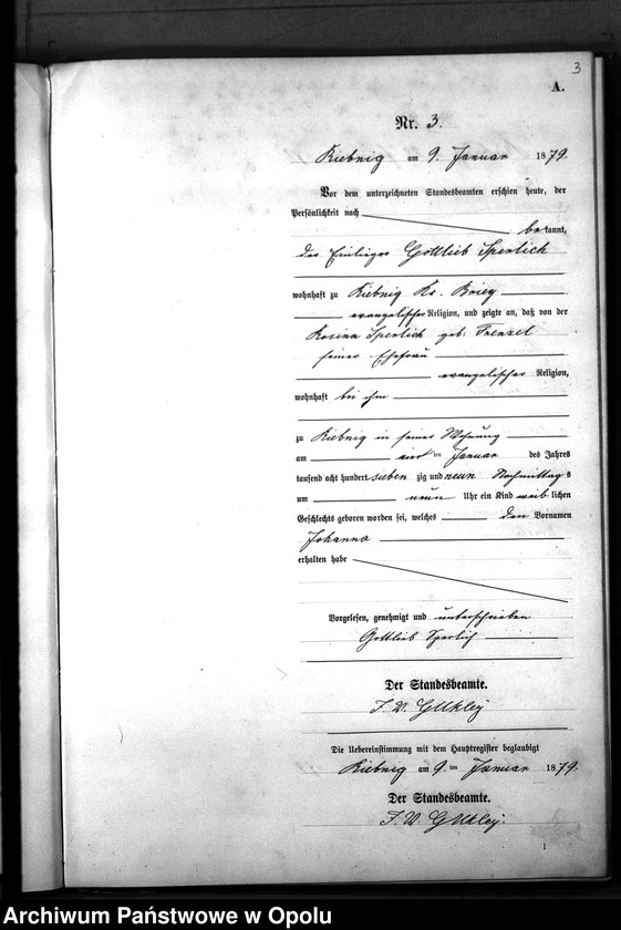 Obraz 6 z jednostki "Geburts-Neben-Register Standes-Amt Riebnig 1879"