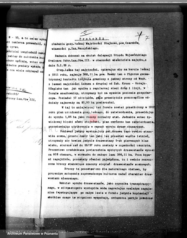 Obraz 13 z jednostki "Nadzór nad gospodarką leśną w lasach majętności Stajkowo powiecie czarnkowskim"