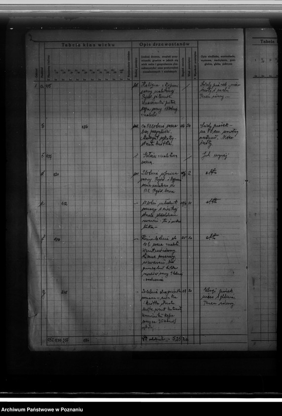 Obraz 6 z jednostki "Program urządzenia gospodarstwa leśnego dla Michała Plenzlera w gminie Wiórek powiat. poznański 1929-1939"