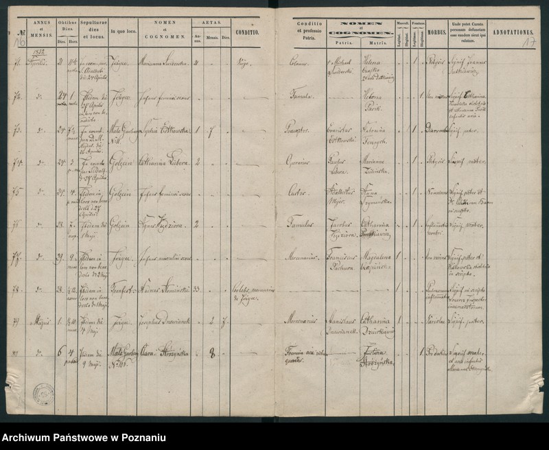 Obraz 10 z jednostki "Księga zgonów"