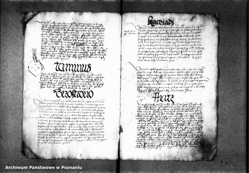 Obraz 13 z jednostki "Inscriptiones, relationes, decreta [inducta]"