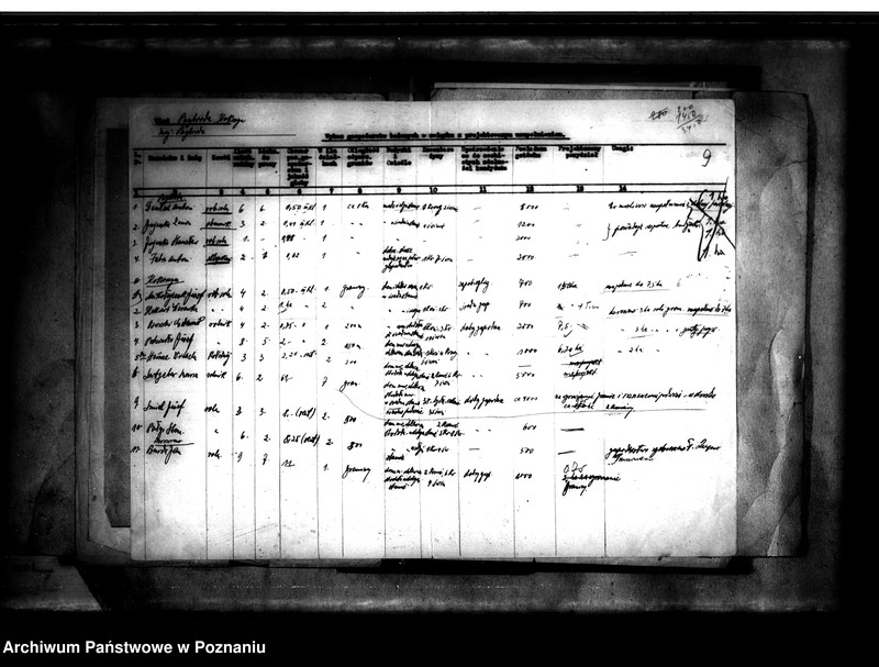 Obraz 13 z jednostki "Majątek Przybroda powiatu poznańskiego sprawy parcelacyjne"